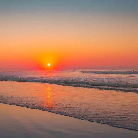 479x479 (2).webp