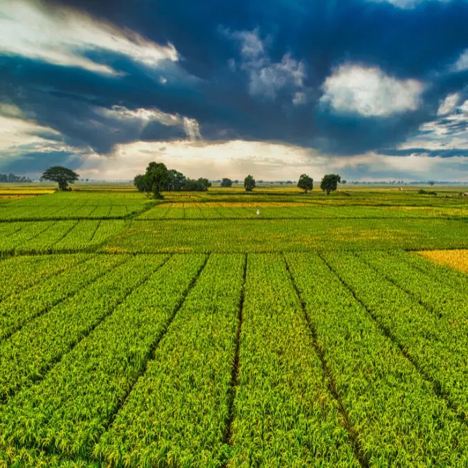klimaat afbeelding
