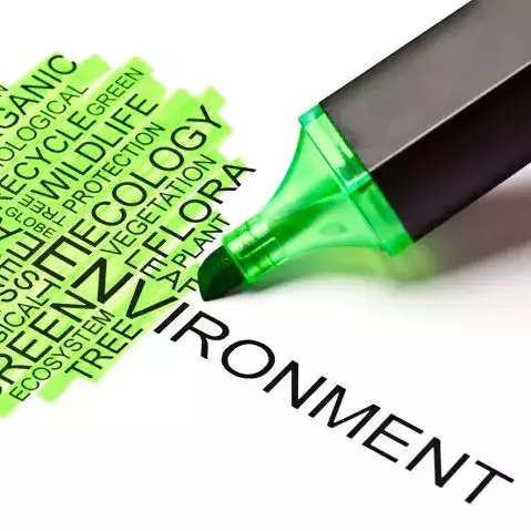 banner-image