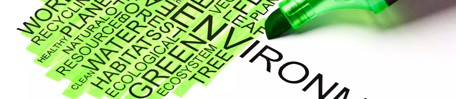 banner-image