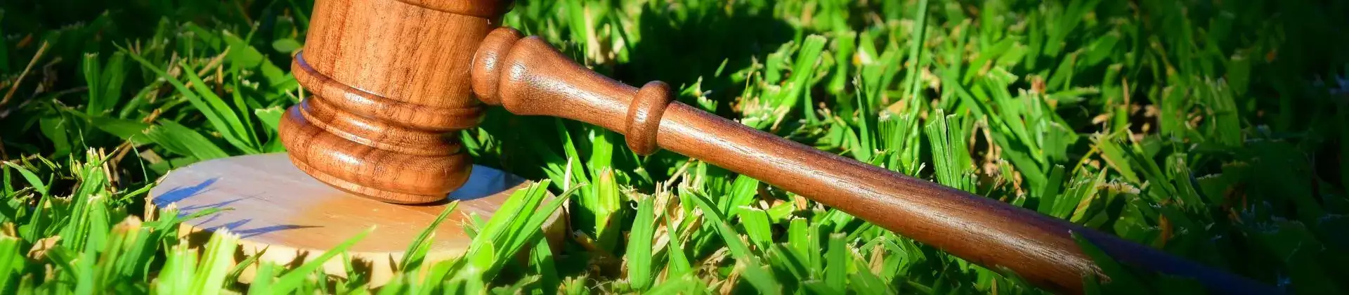 symbolische weergave omgevingsrecht