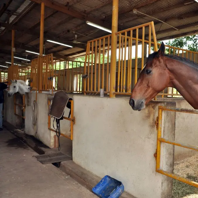 paardenhouderij zonevreemd of niet