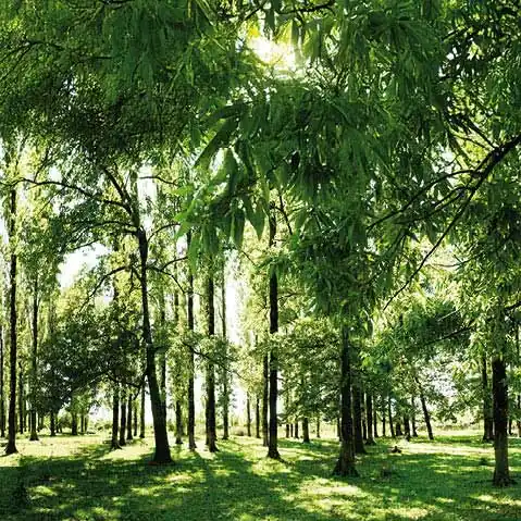banner-image