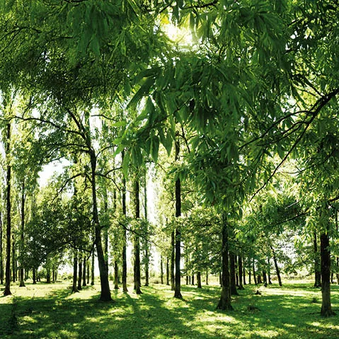 banner-image