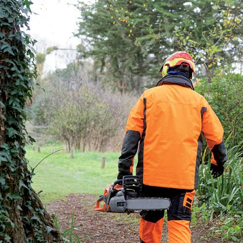 Opleidingen veilig en ergonomisch werken - Escala