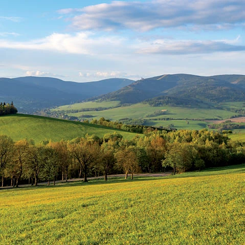 Milieu en natuur