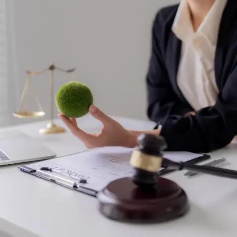 Professionals in het omgevingsrecht - Escala