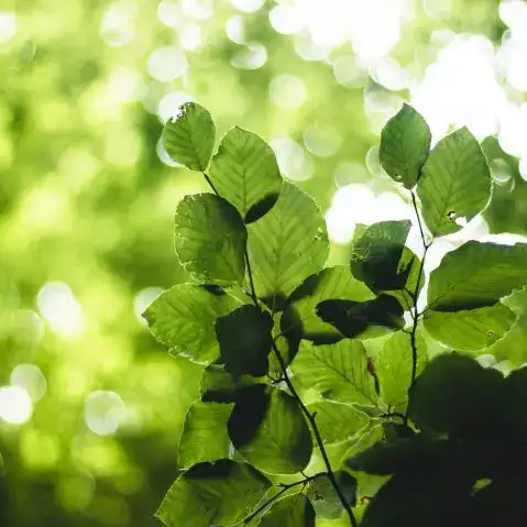 banner-image